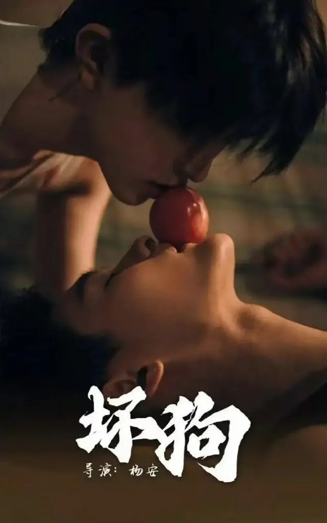 《坏狗》相关资源图片