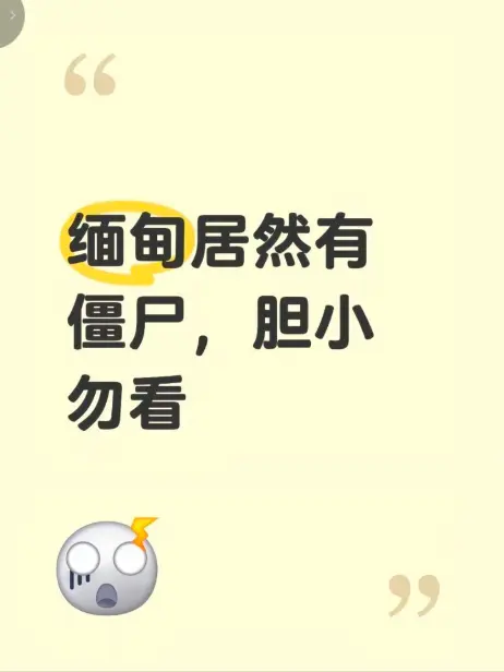 《缅甸僵尸出土事件》高清无删减完整版在线播放-揭秘缅北神秘事件真相-免费观看现场全程录像