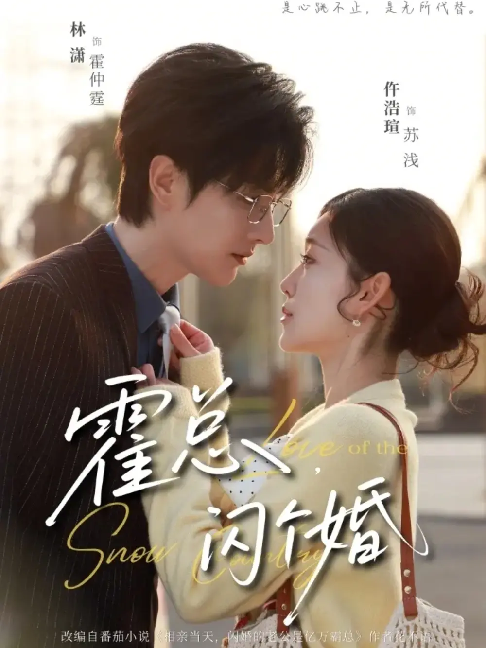 《霍总，闪个婚》全86集免费在线观看-短剧霍总闪个婚完整版高清播放-无删减版资源下载百度网盘