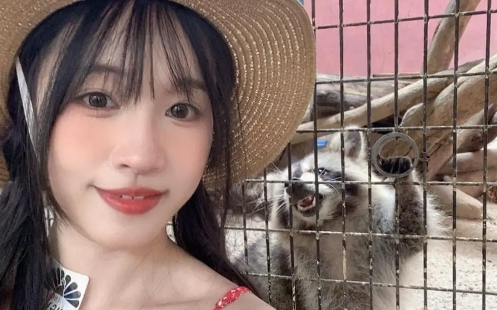资源图片