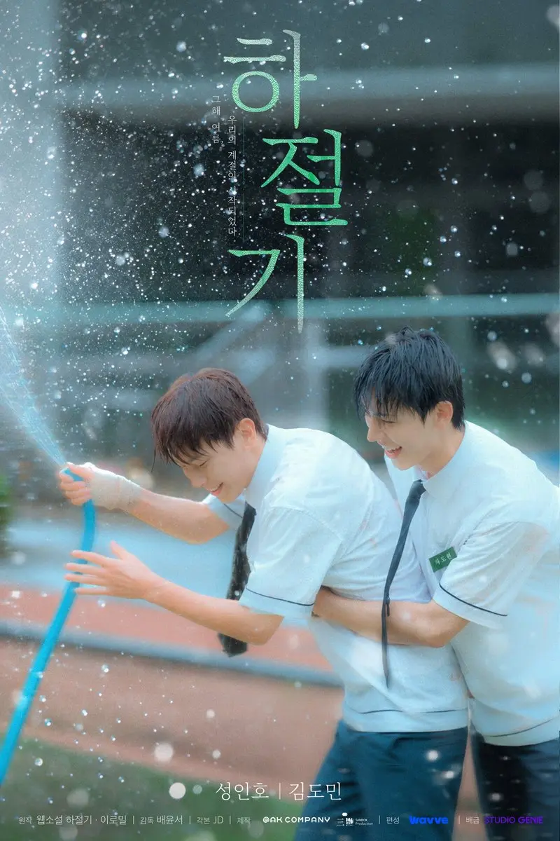 《夏季》韩剧全集免费观看国语完整版 - 夏季在线观看HD高清 - 双男主主演无广告播放 - 全集完整版