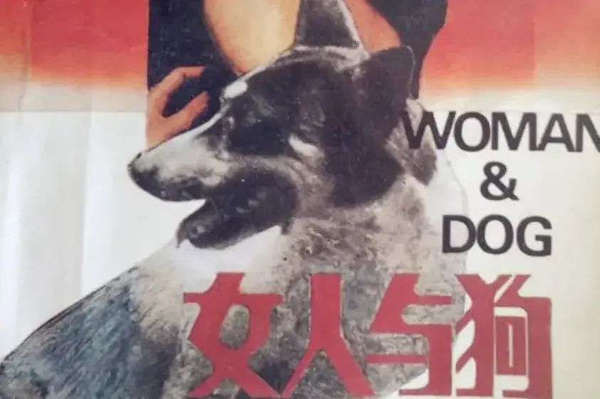 《女人与狗》无删减完整版电影免费在线看-欧美电影女人与狗HD 1080P高清画质播放-女人与狗全集无广告流畅观看