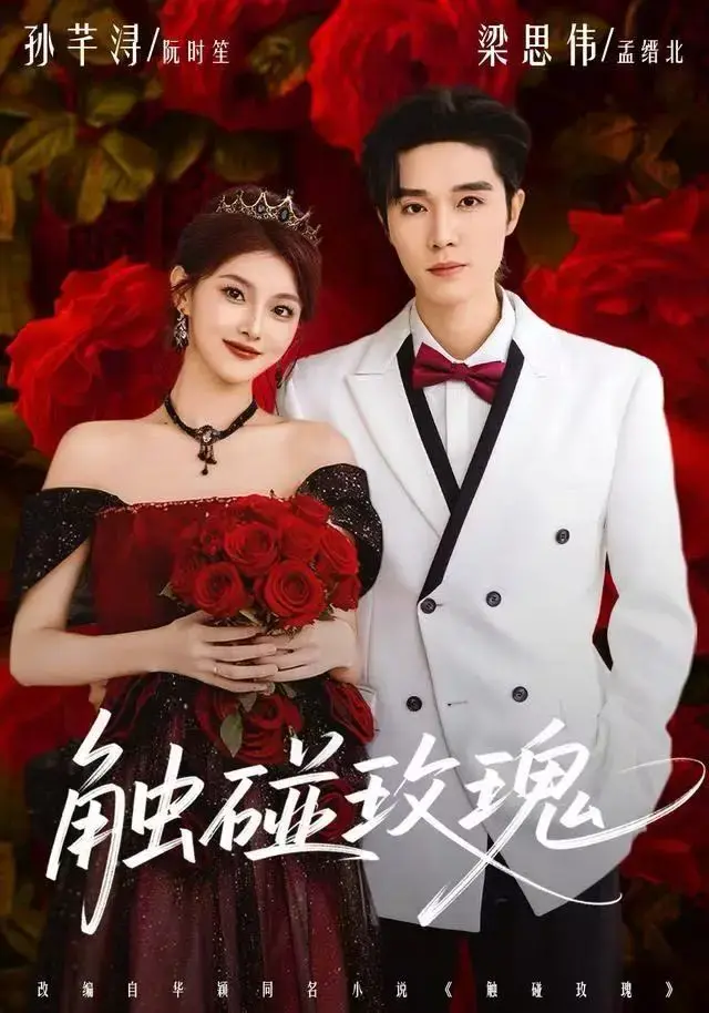 《触碰玫瑰》全季完整版无删减在线播放-4K超清中字免费观看-浪漫爱情剧触碰玫瑰高清HD资源迅雷/夸克/阿里云盘多平台下载