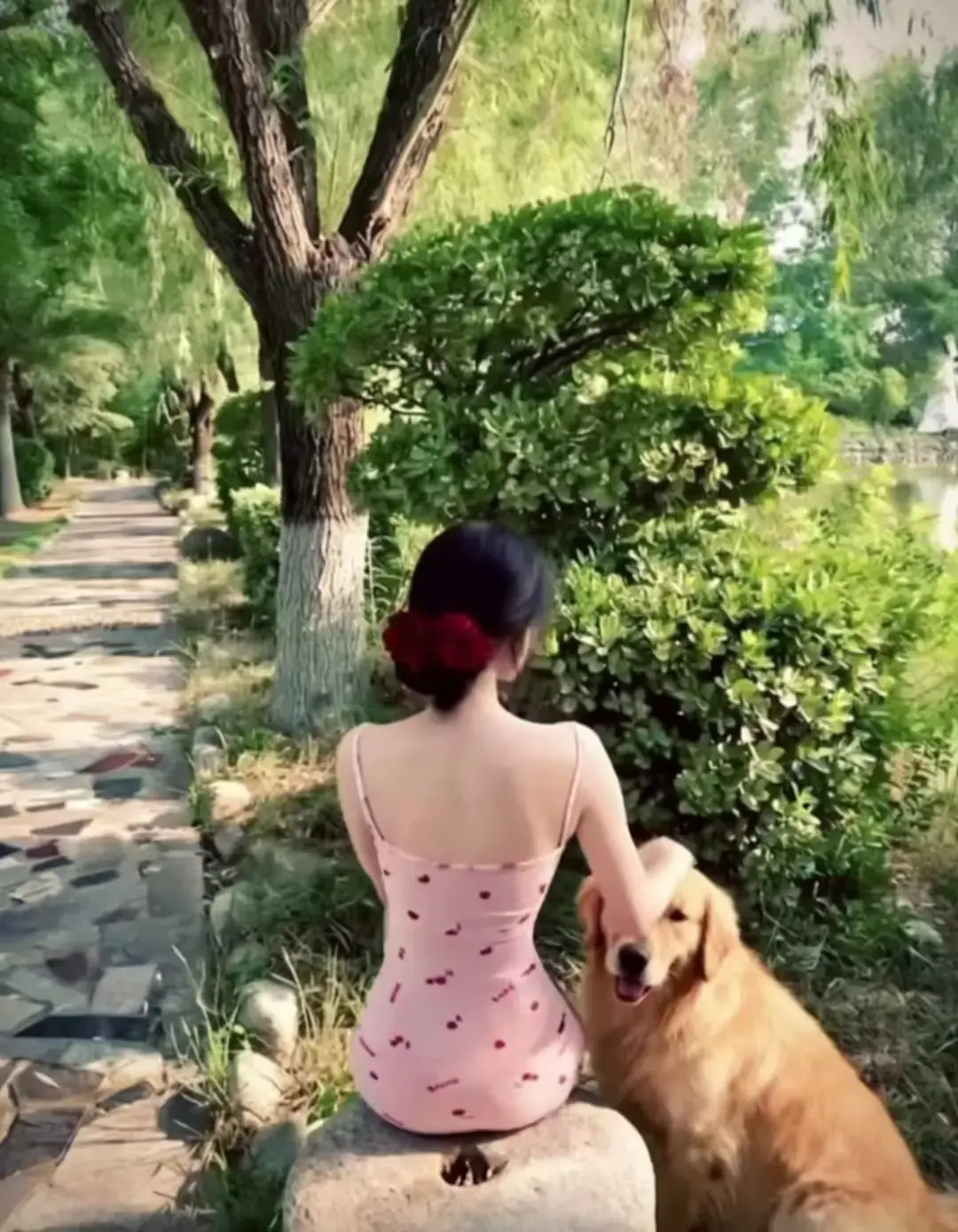 《香香公主与金毛爱犬》三集完整版高清播放-限时观看高能瞬间全纪录-见证最暖跨物种情感相依
