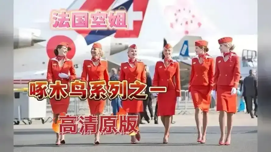 《法国空姐2019/不雅空乘》1080P超清未删减在线观看-法国空姐电影完整版国语中字-免费观看空乘背后故事全集