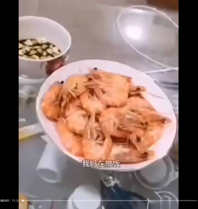 猎奇视频《大虾母子厨房完整版》高清无删减在线看-揭开梗的神秘面纱-完整版资源免费观看