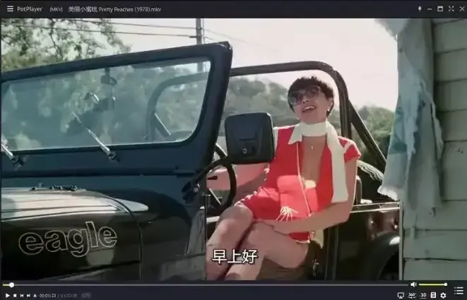 《美丽小蜜桃》1978年完整版免费观看-美国喜剧电影未删减高清中字在线播放-美丽小蜜桃