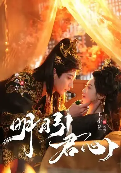 《明月引君心》未删减全集免费在线观看-《明月引君心》高清完整版播放-1080P画质无广告观看体验