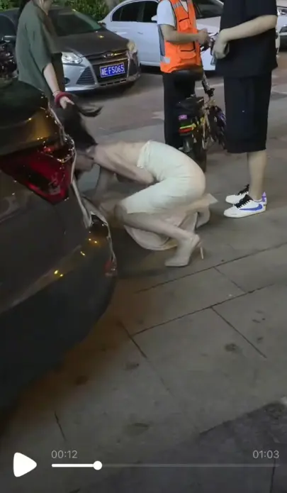 《白裙女子被抓头发跳河》全过程高清视频-白裙女子被扯头发跳河求生完整后续-抓小三引发意外坠河前因后果免费播放