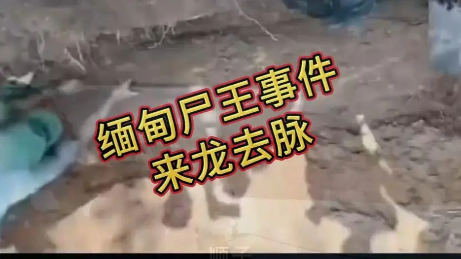 《缅甸僵尸出土事件视频》完整版资源下载 - 缅北僵尸出土事件始末原视频高清观看 - 诡异真相解密超清未删减全程录像在线播放