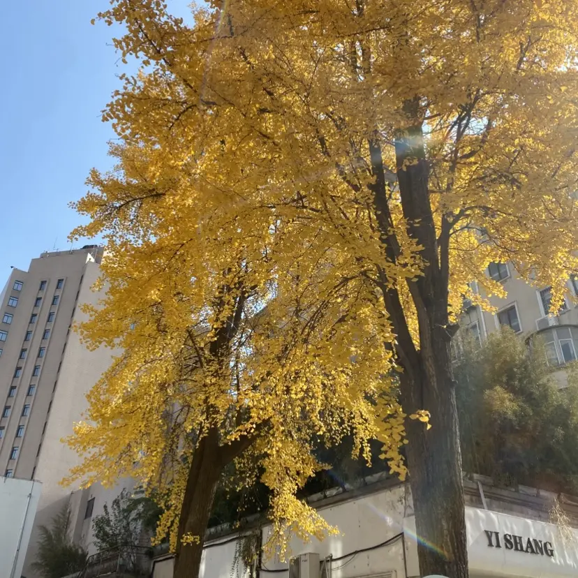 《女人与狗》完整版免费观看无删减-俄罗斯电影《女人与狗》HD高清在线播放-全网同步更新无广告弹窗干扰-支持高清画质与网盘资源获取